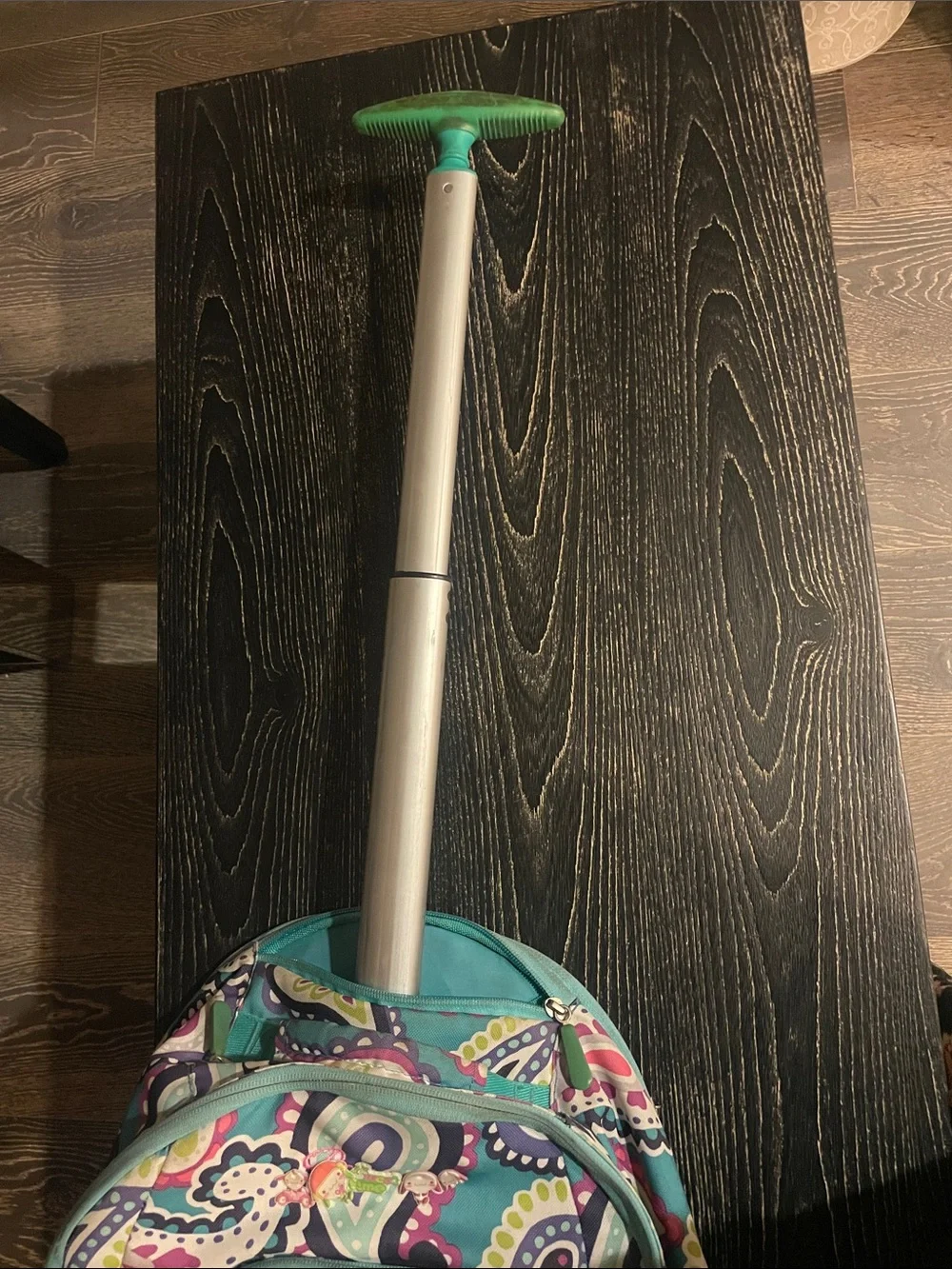 Pottery Barn Kids Turquoise Paisley Backpack with Pink and Purple Accents